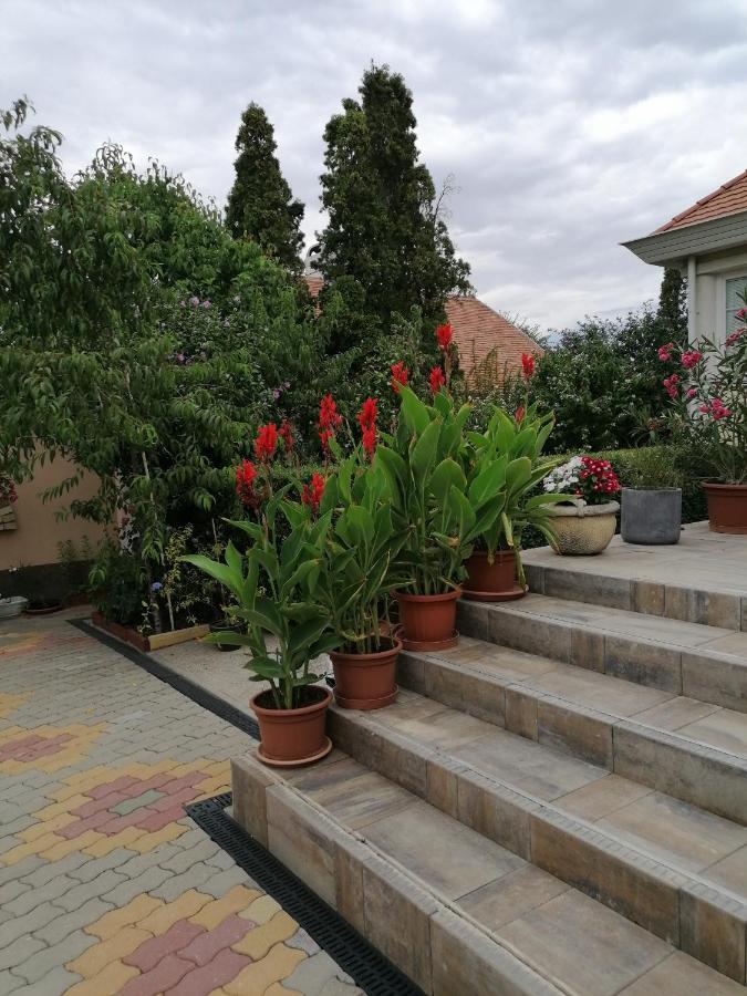Kaktuszvirag Apartmanhaz ไฮจ์ดุสโซบอสโล ภายนอก รูปภาพ